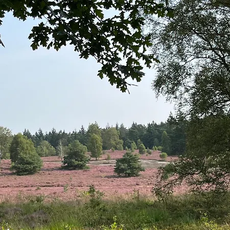 Bigoak Schneverdingen Lägenhet Wintermoor